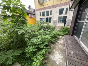 IMG_1291