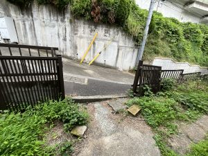 IMG_1305