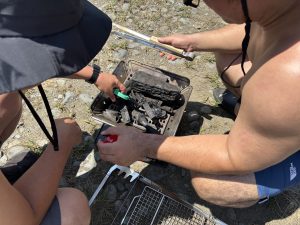 IMG_2939