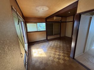 IMG_3951